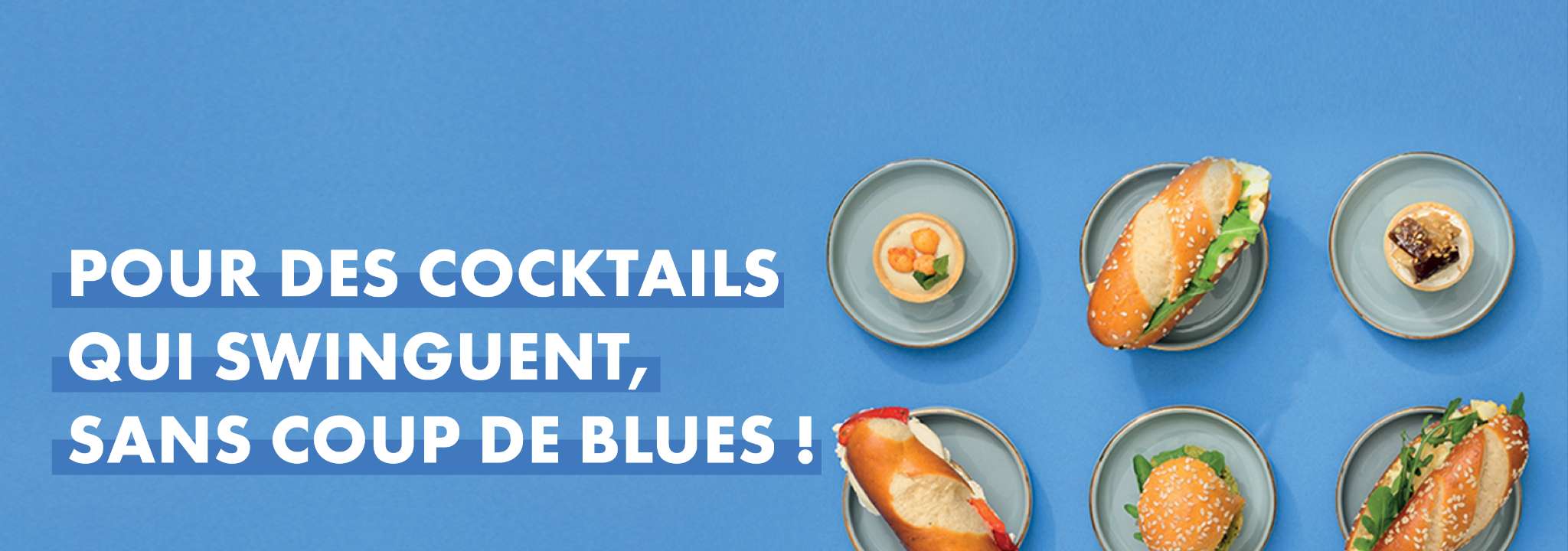 Banniere Web Digi Bleu Compressee